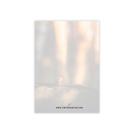 Chipmunk | Post-It Note Stack