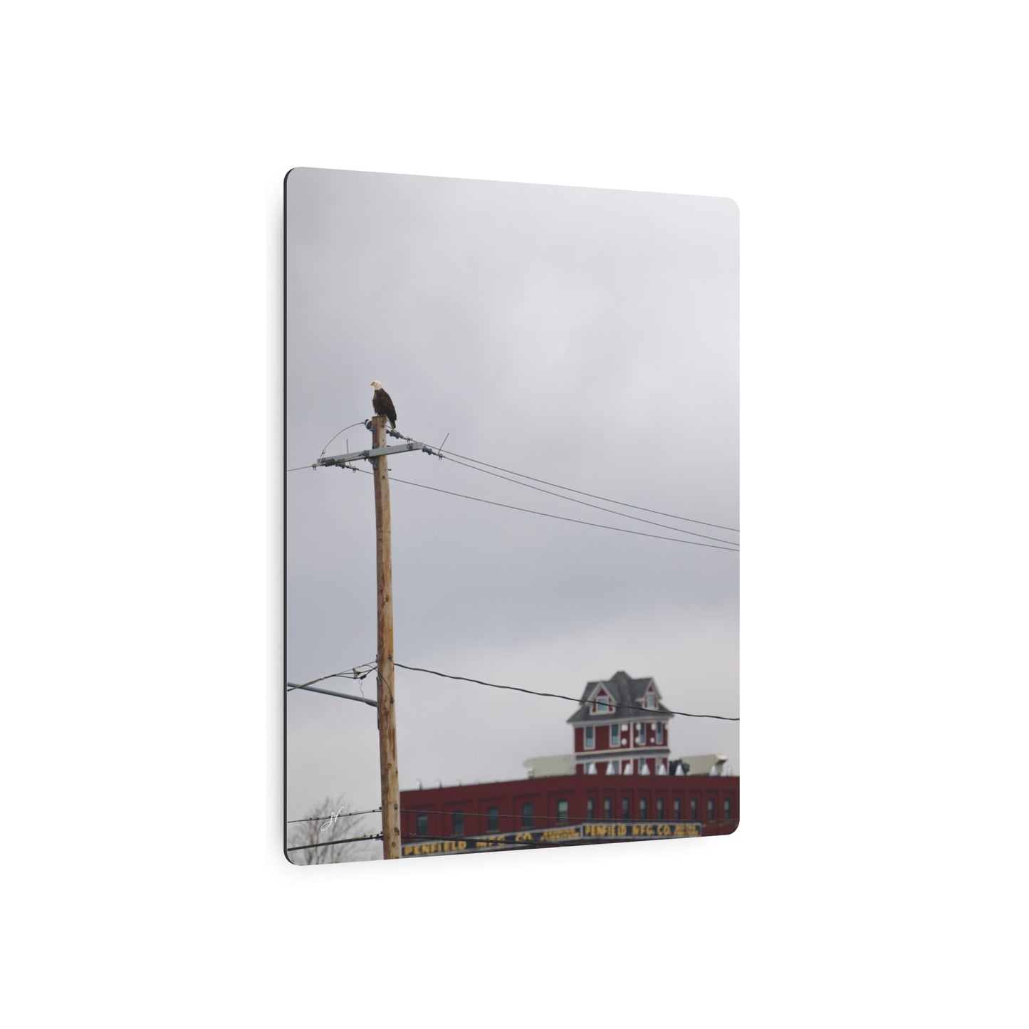 Bald Eagle & Syracuse Factory | Metal Wall Art Sign