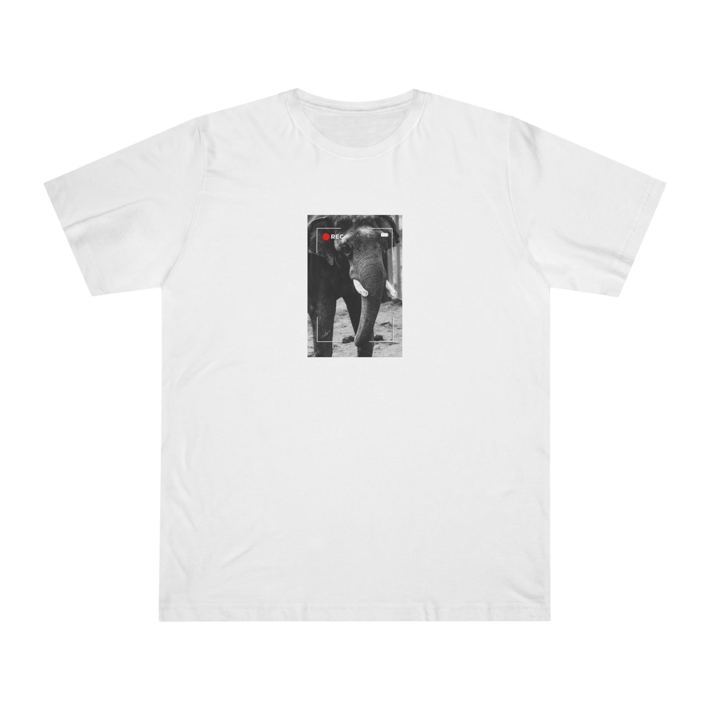 Elephant In Focus | T-Shirt