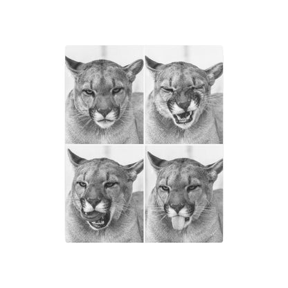 Puma Cat Collage | Metal Art Sign