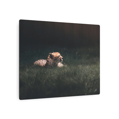 Cheetah | Metal Art Sign