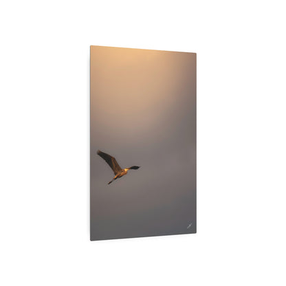 Blue Heron Golden Hour Flight | Metal Wall Art Sign