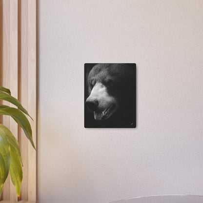 Black Bear | Metal Art Sign