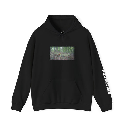 Trail Cam Fox | Hoodie