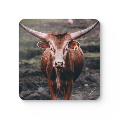 Longhorn Cow | Corkwood Coaster Set (4 Piece)