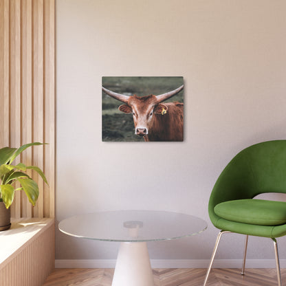 Longhorn Cow | Metal Art Sign