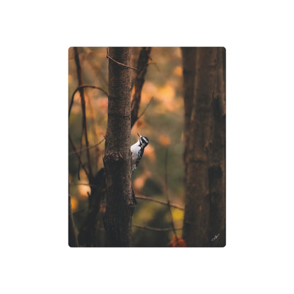 Downy Woodpecker | Metal Art Sign