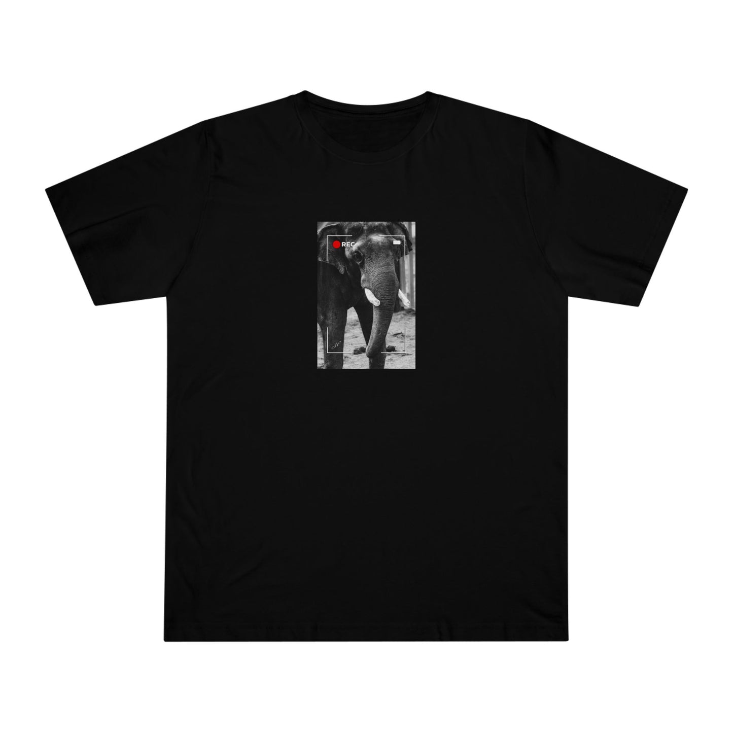 Elephant In Focus | T-Shirt