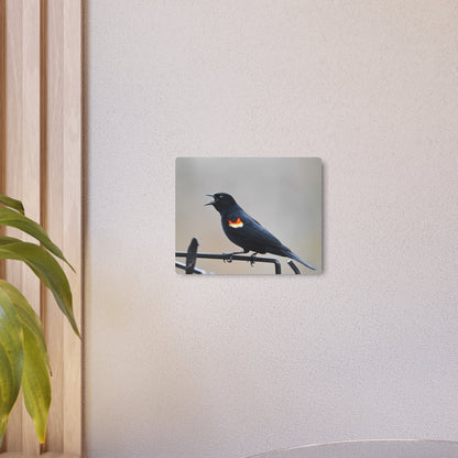 Red-Winged Blackbird | Metal Art Sign