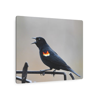 Red-Winged Blackbird | Metal Art Sign