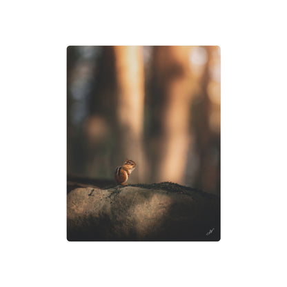 Chipmunk | Metal Art Sign