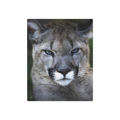 Puma Cat | Metal Art Sign