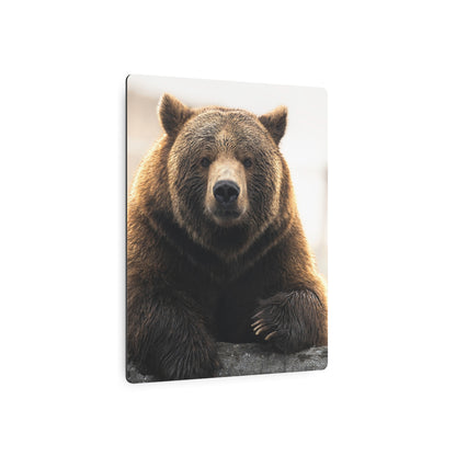 Bear Posing | Metal Art Sign