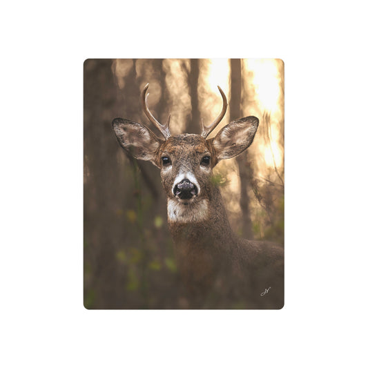 6 Point Buck | Metal Art Sign