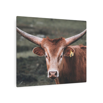 Longhorn Cow | Metal Art Sign