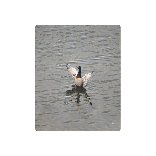 Mallard Duck Bathing | Metal Art Sign