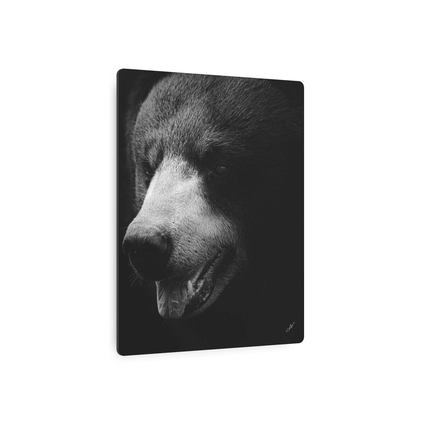 Black Bear | Metal Art Sign