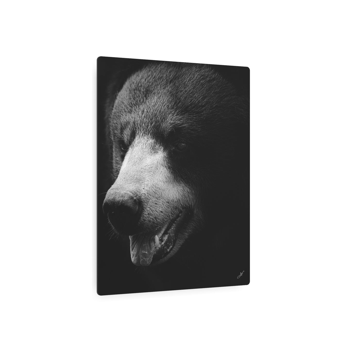 Black Bear | Metal Art Sign