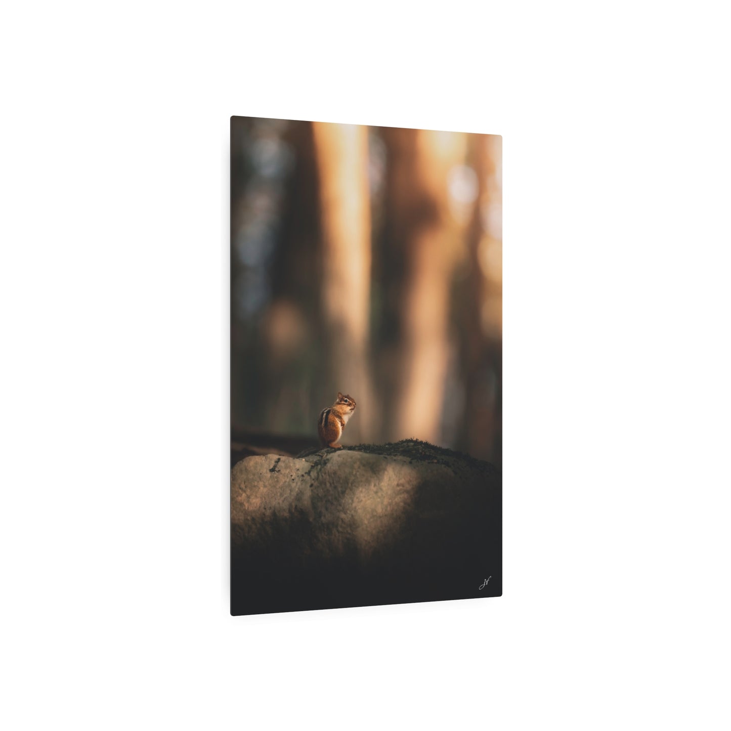 Chipmunk | Metal Art Sign