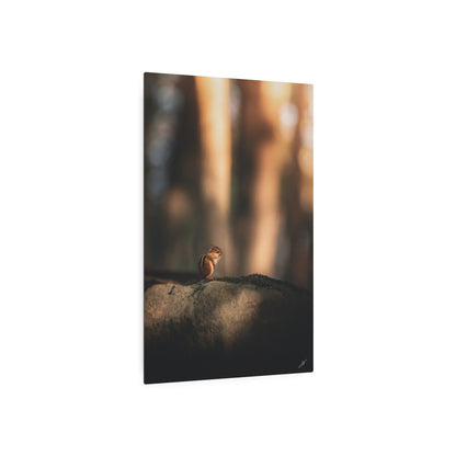 Chipmunk | Metal Art Sign