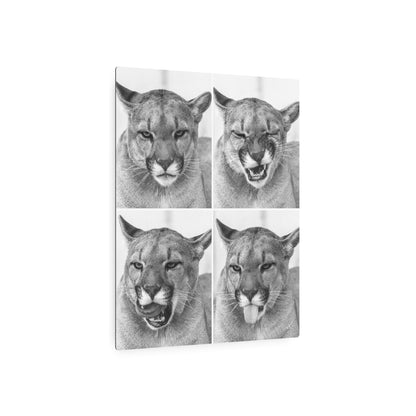 Puma Cat Collage | Metal Art Sign