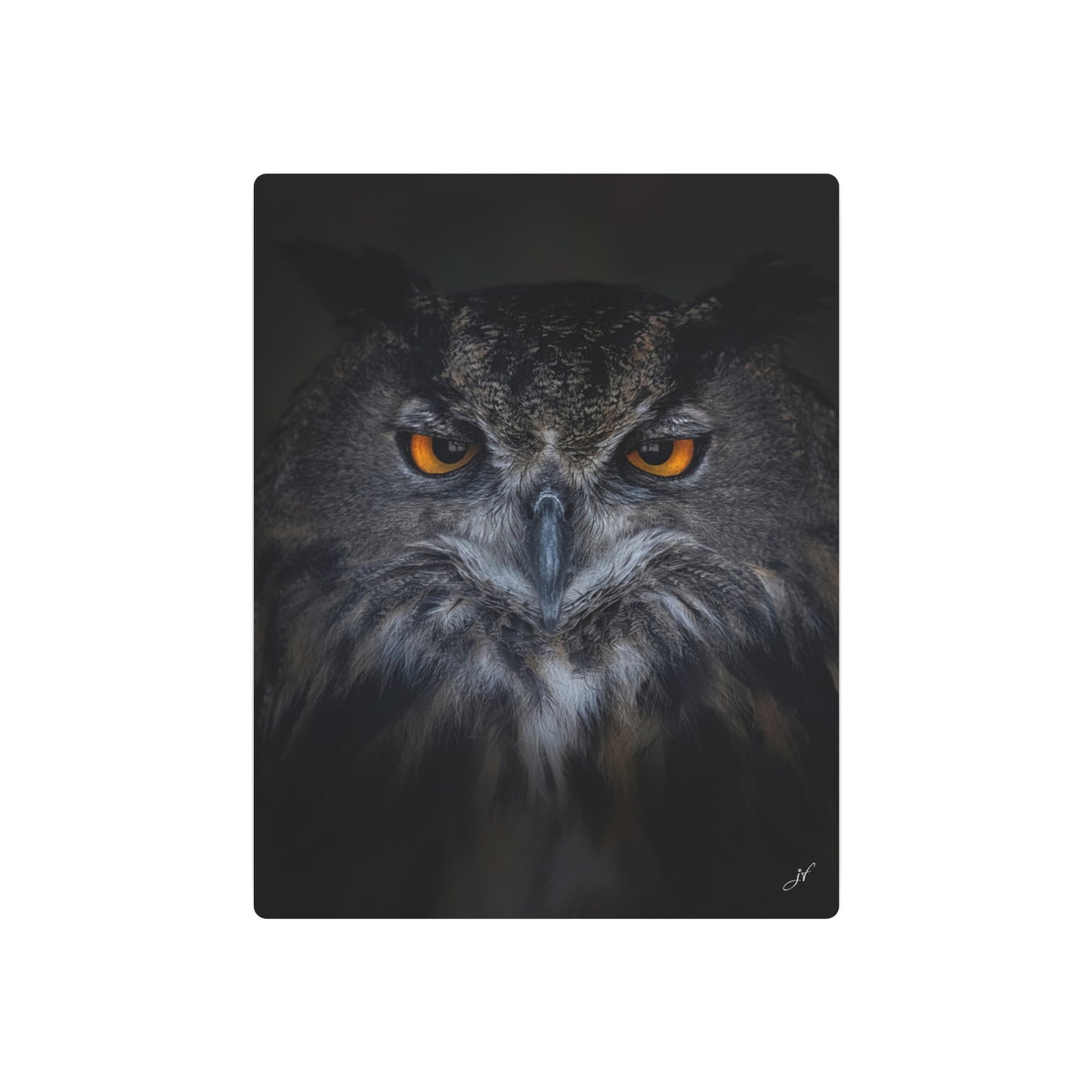 Owl | Metal Art Sign