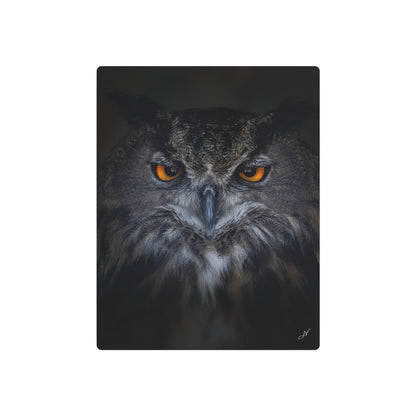 Owl | Metal Art Sign