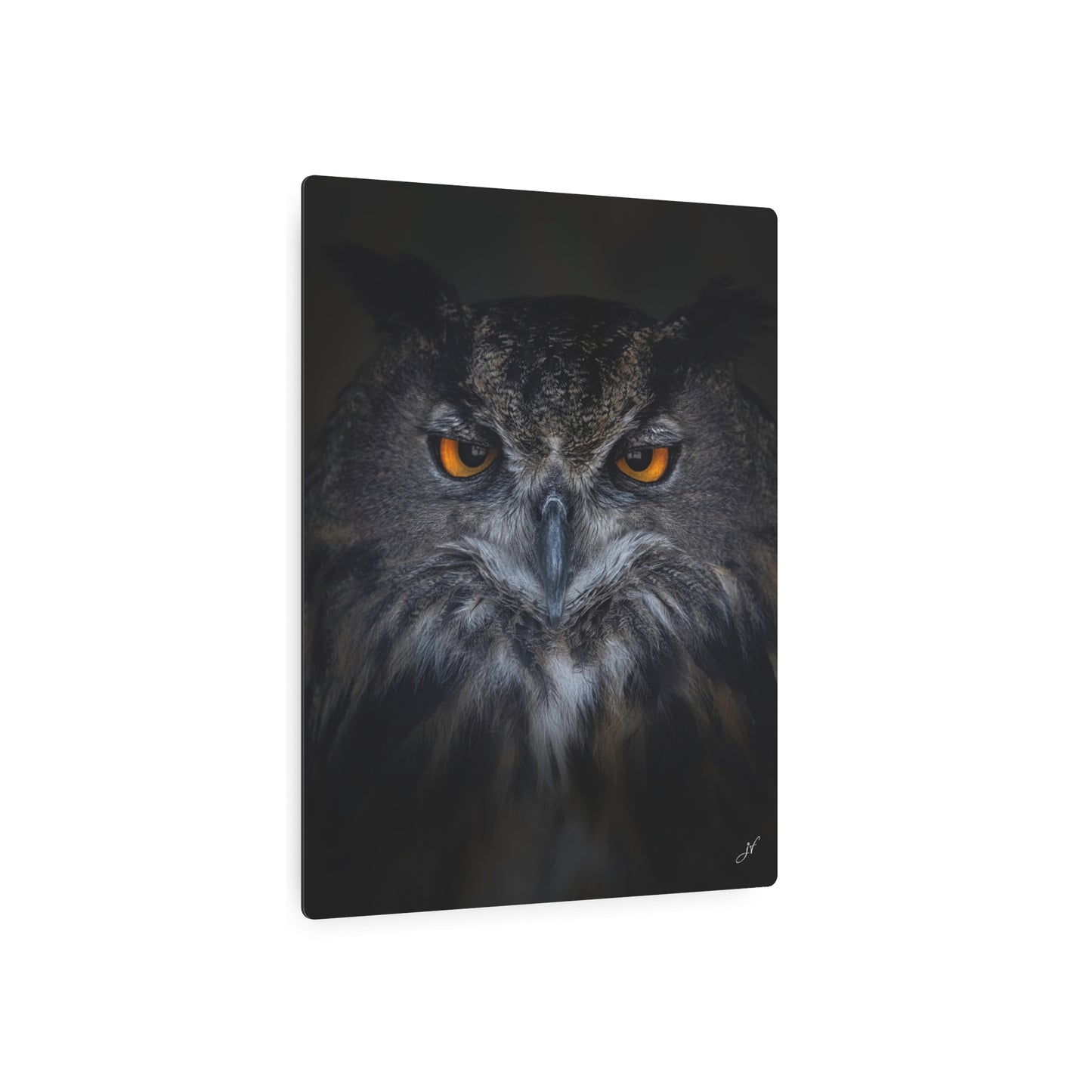 Owl | Metal Art Sign