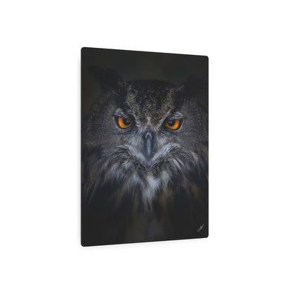 Owl | Metal Art Sign