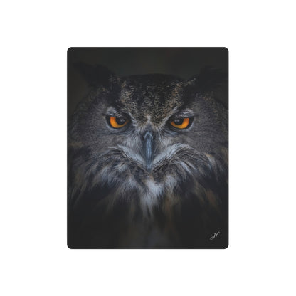 Owl | Metal Art Sign