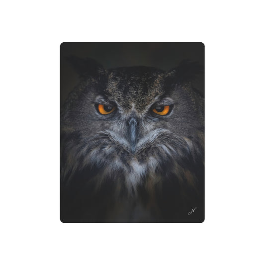 Owl | Metal Art Sign