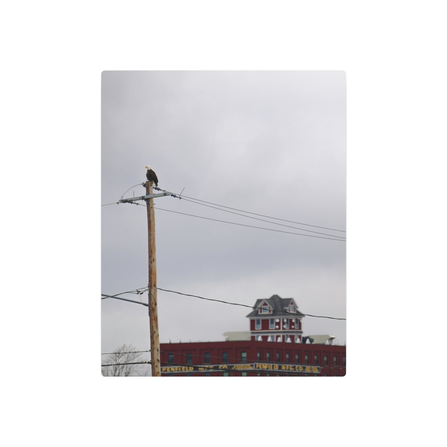 Bald Eagle & Syracuse Factory | Metal Wall Art Sign