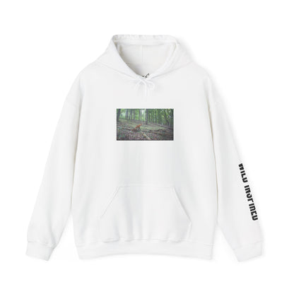 Trail Cam Fox | Hoodie