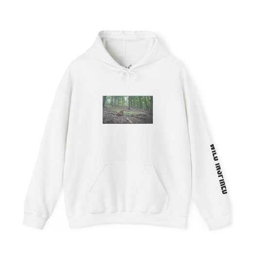 Trail Cam Fox | Hoodie