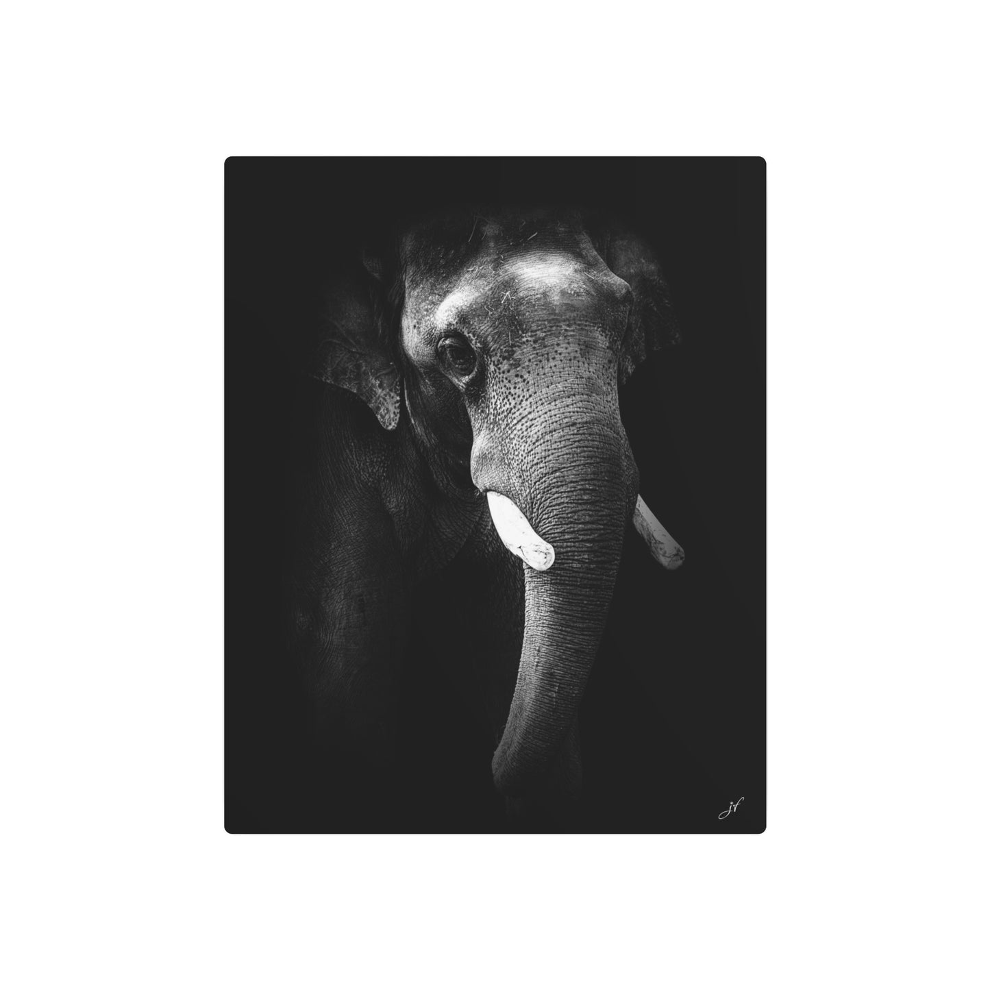 Elephant | Metal Art Sign