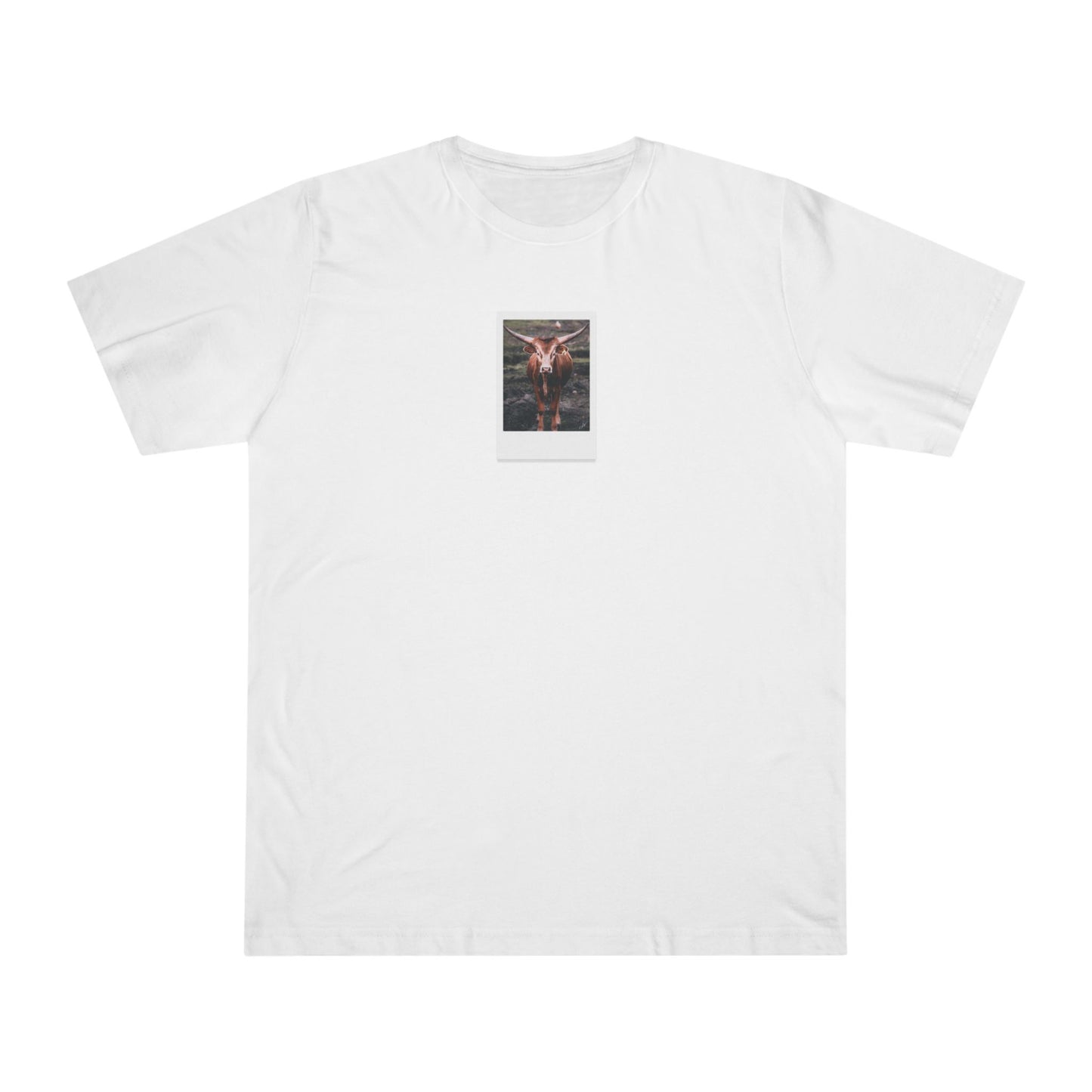 Longhorn Cow | T-Shirt