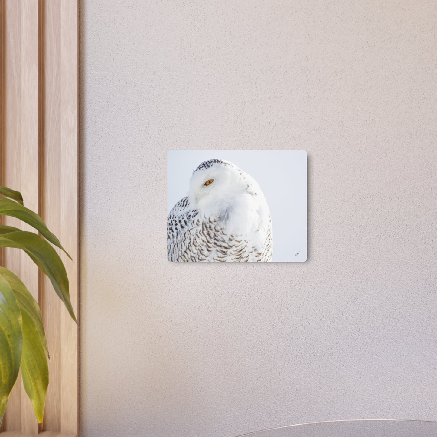 Snowy Owl | Metal Art Sign