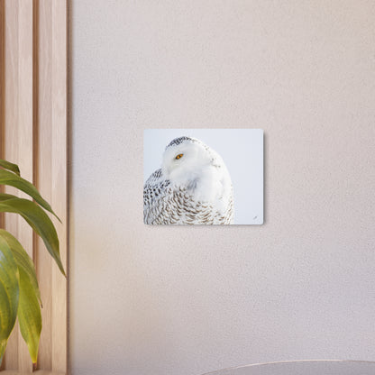 Snowy Owl | Metal Art Sign