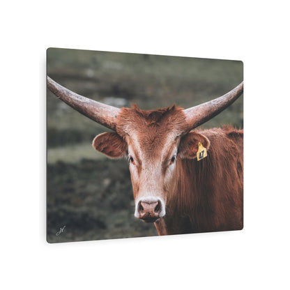 Longhorn Cow | Metal Art Sign