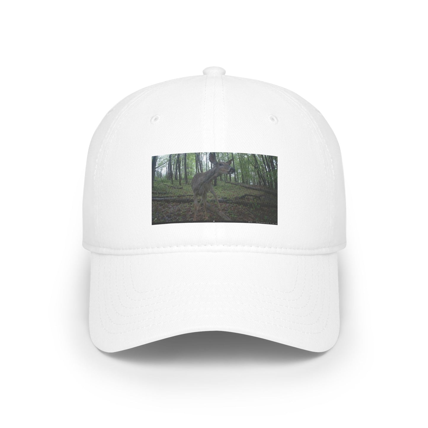 Trail Cam Deer 2 (Color) | Hat