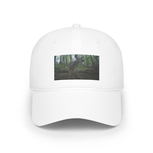 Trail Cam Deer 2 (Color) | Hat