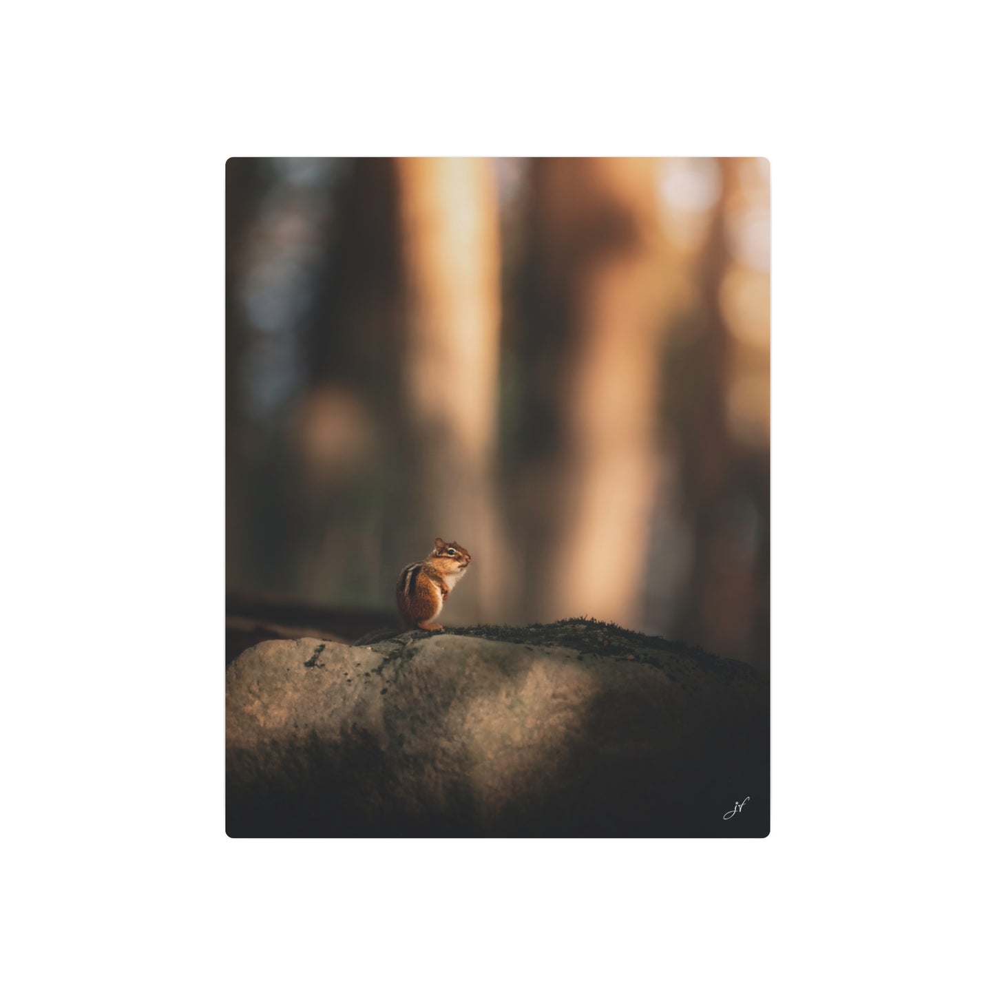 Chipmunk | Metal Art Sign