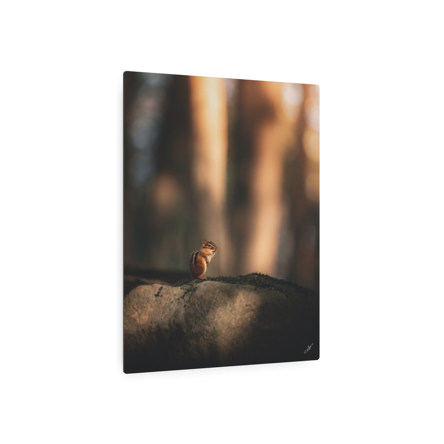 Chipmunk | Metal Art Sign
