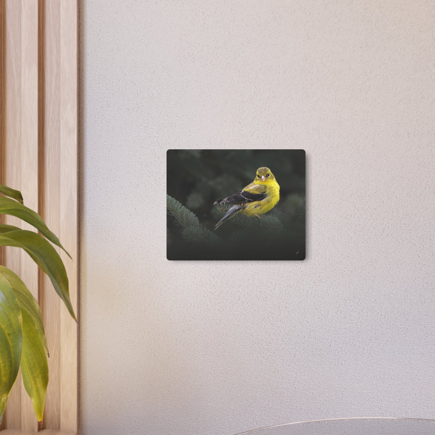 Goldfinch Bird | Metal Wall Art