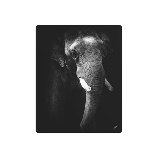 Elephant | Metal Art Sign