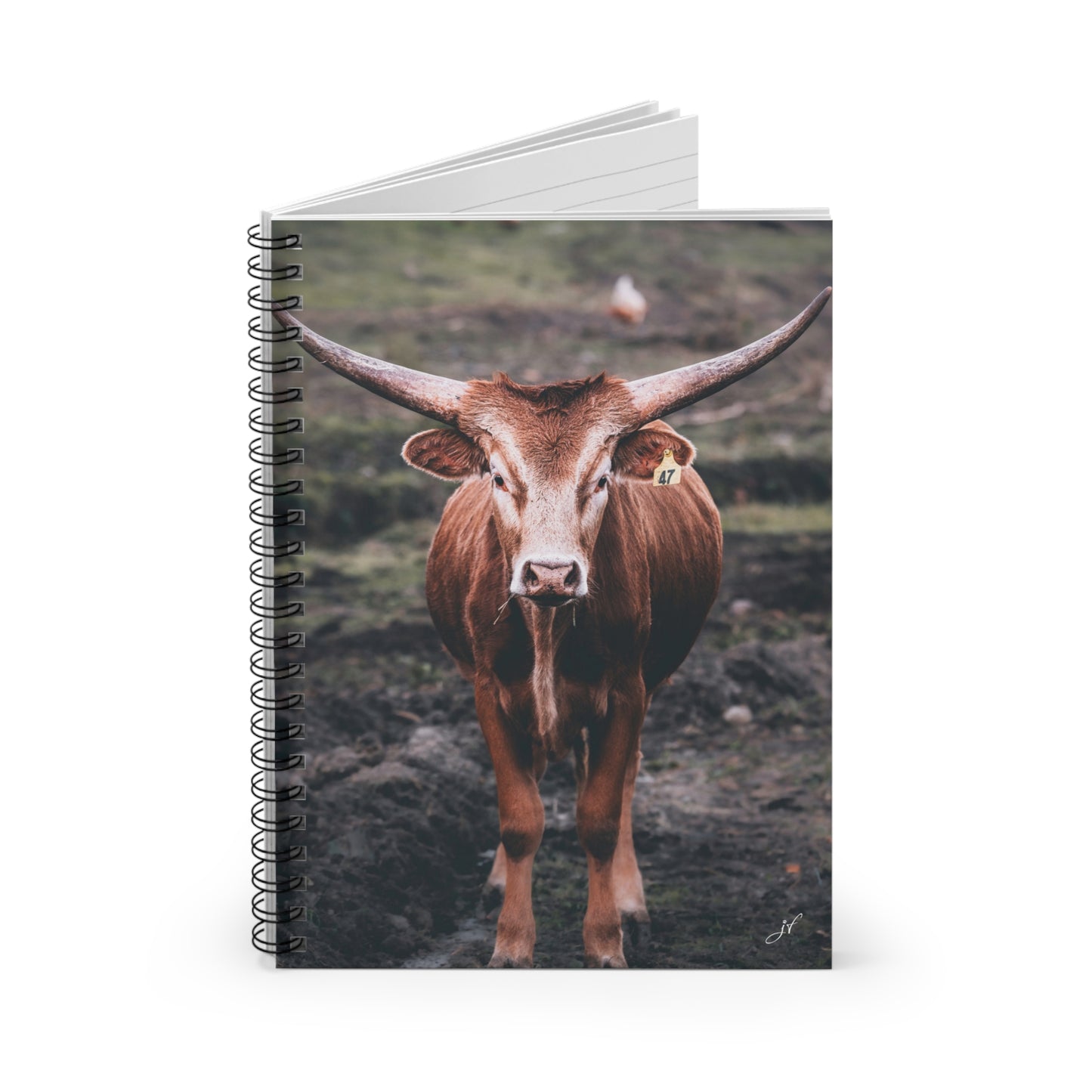 Longhorn Cow | Spiral Notebook