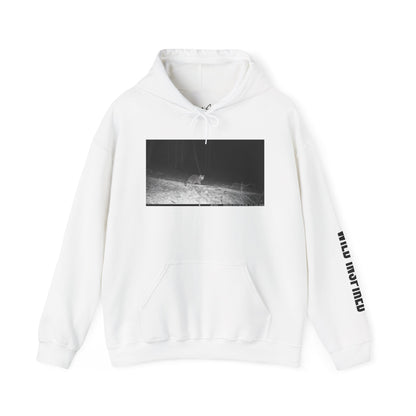 Trail Cam Raccoon | Hoodie