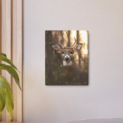 6 Point Buck | Metal Art Sign