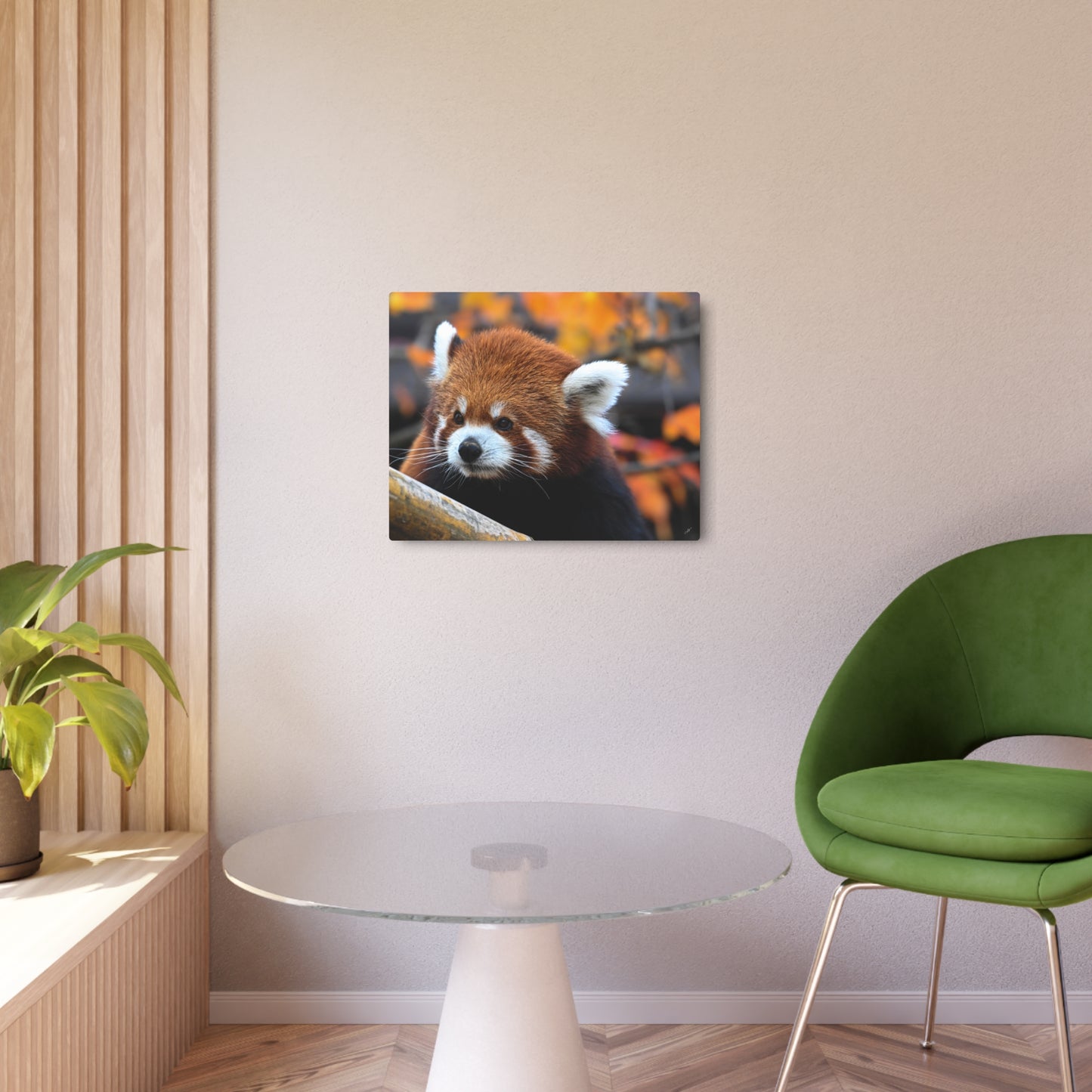 Red Panda | Metal Wall Art