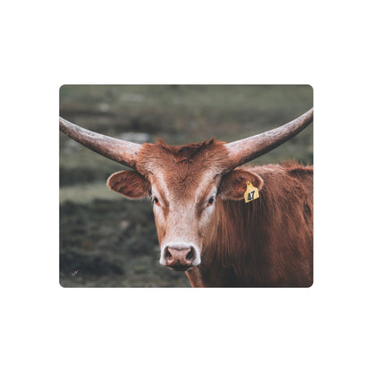 Longhorn Cow | Metal Art Sign